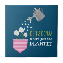 Cresça onde você é plantado, inspiração no bolso