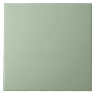 Azulejo De Cerâmica Crio Próprio Apple Sage Green