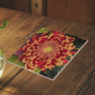 Azulejo De Cerâmica Crisântemo Floral Vermelho e Amarelo