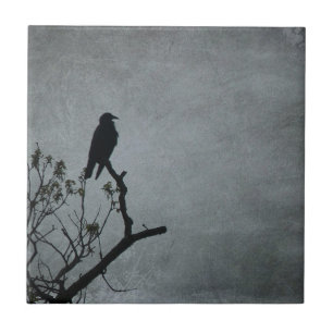 Azulejo De Cerâmica Crow Magestoso