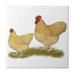 Azulejo De Cerâmica Cuco do limão de Orpingtons