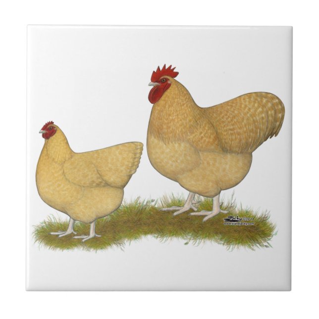 Azulejo De Cerâmica Cuco do limão de Orpingtons (Frente)
