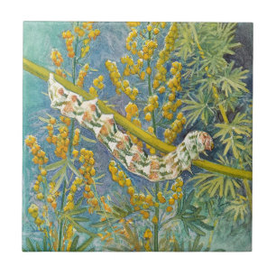 Azulejo De Cerâmica Cucullia Absinthii Wormwood Caterln