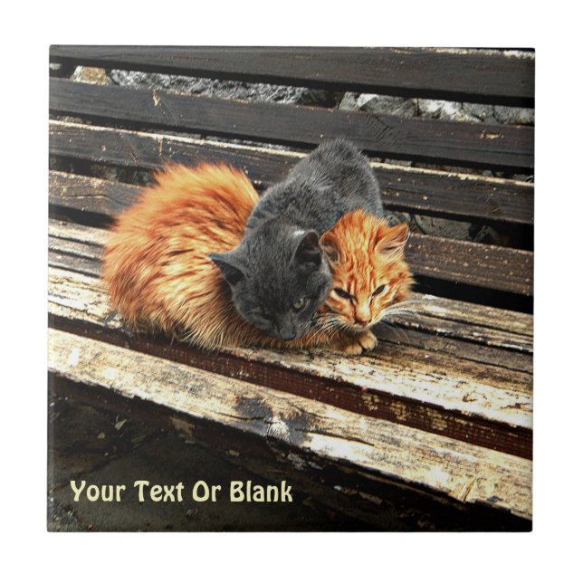 Azulejo De Cerâmica Cuecas Catnap (Frente)