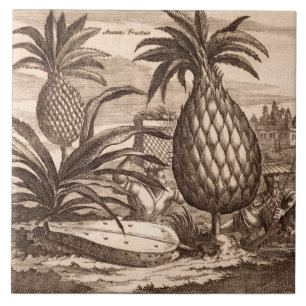 Azulejo De Cerâmica Cultivando grandes abacaxis, ilustração de um de