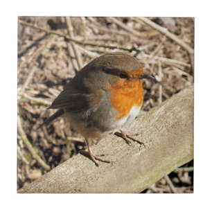 AZULEJO DE CERÂMICA  CUTE ROBIN