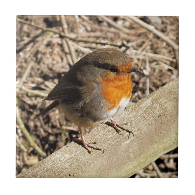 AZULEJO DE CERÂMICA  CUTE ROBIN (Frente)