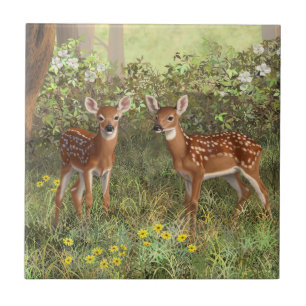 Azulejo De Cerâmica Cute Whitetail Deer Twin Fawns