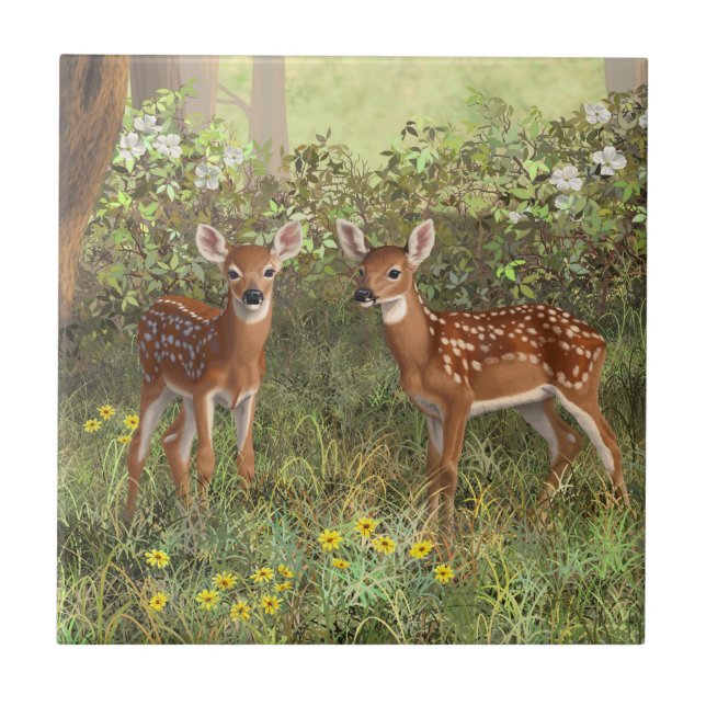 Azulejo De Cerâmica Cute Whitetail Deer Twin Fawns (Frente)
