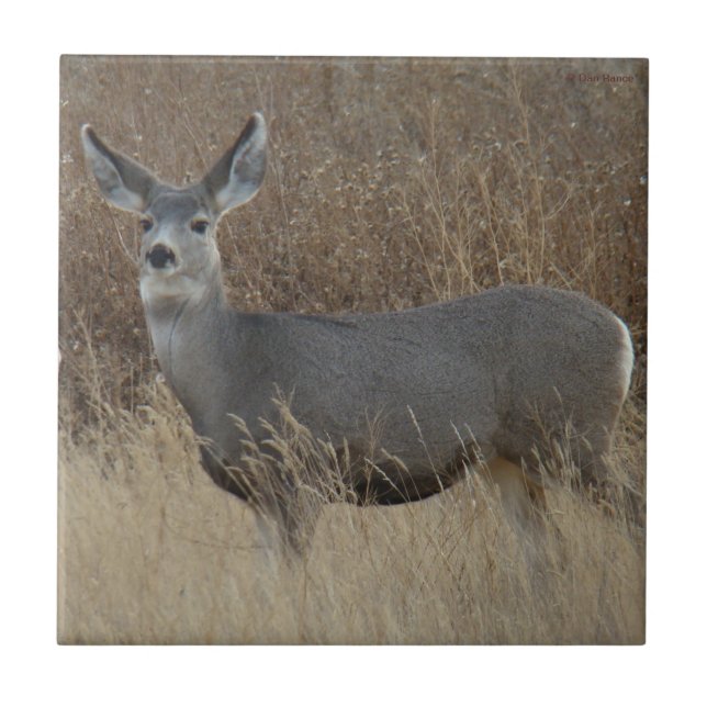 Azulejo De Cerâmica D14 Mule Deer Doe (Frente)