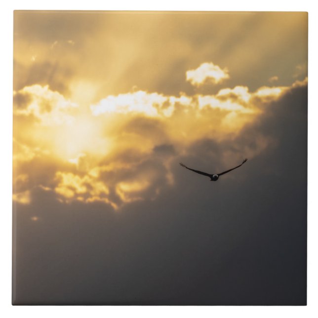 Azulejo De Cerâmica Da Águia Solar (Frente)