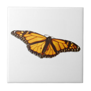Azulejo de cerâmica da Borboleta Monarca