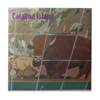 AZULEJO DE CERÂMICA DA ILHA CATALINA FACE DA ILHA