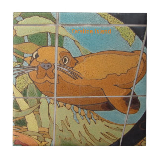 AZULEJO DE CERÂMICA DA ILHA CATALINA NA ÁGUA