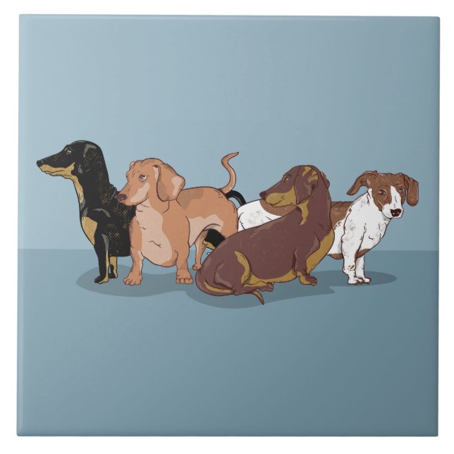 Azulejo De Cerâmica Dachshances (Frente)