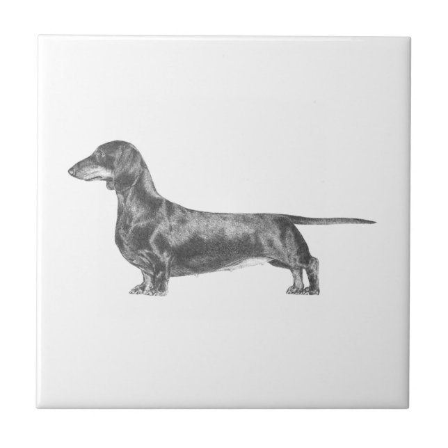 Azulejo De Cerâmica Dachshund (Frente)