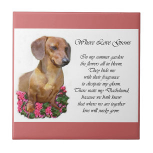 Azulejo De Cerâmica Dachshund Art Gifts