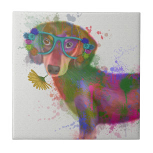 Azulejo De Cerâmica Dachshund e Óculos - Lixeira