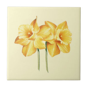 Azulejo de cerâmica Daffodil Amarelo