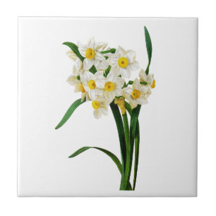 Azulejo De Cerâmica Daffodil ou narciso por Pierre Joseph Redoute