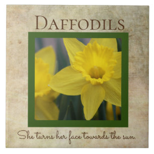 Azulejo De Cerâmica Daffodil Quote Primavera
