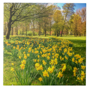 Azulejo De Cerâmica Daffodils