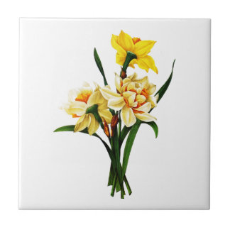 Azulejo De Cerâmica Daffodils ou Narciso por Pierre Joseph Redoute