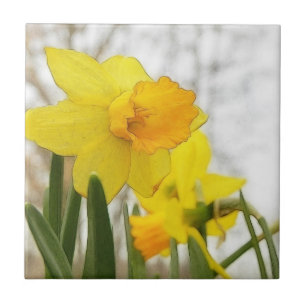 Azulejo De Cerâmica Daffodils Sunlit