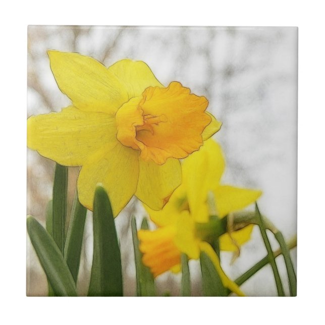 Azulejo De Cerâmica Daffodils Sunlit (Frente)