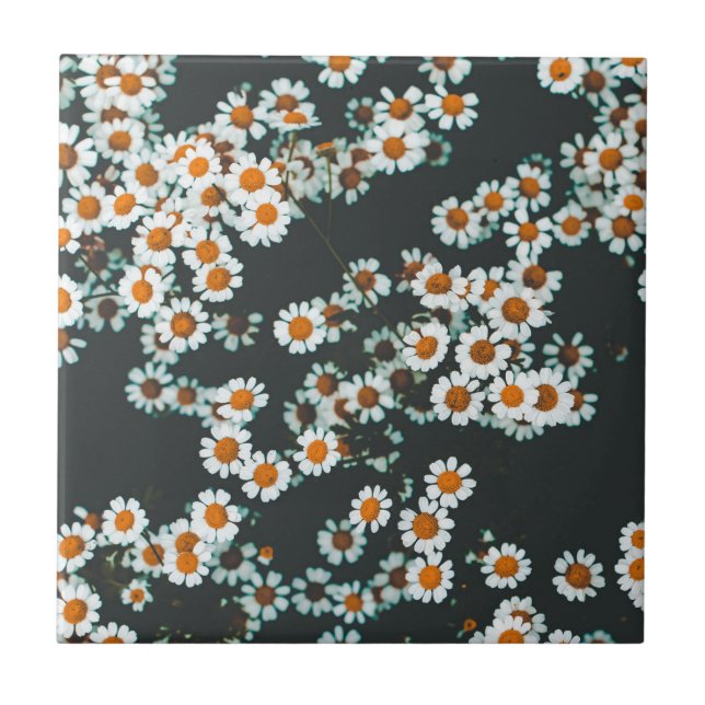 Azulejo De Cerâmica Daisy Daisies Floral (Frente)