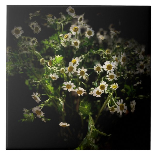 Azulejo De Cerâmica Daisy, Flores (Frente)