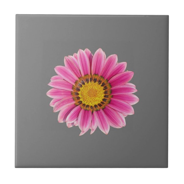 Azulejo De Cerâmica Daisy In Pink (Frente)