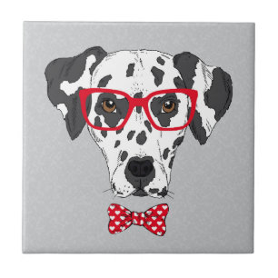 Azulejo De Cerâmica Dalmatian elegante