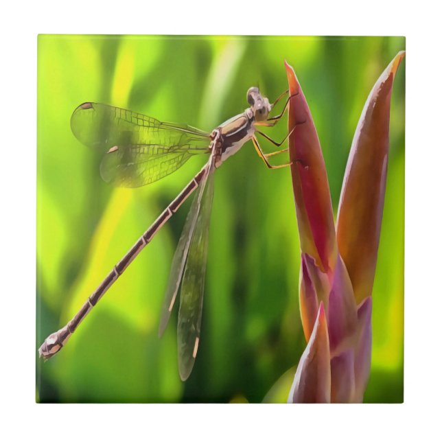 Azulejo De Cerâmica Damselfly Equilibrada Na Cabeça Da Flor (Frente)