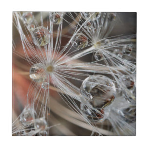 Azulejo De Cerâmica Dandelion Abstrato