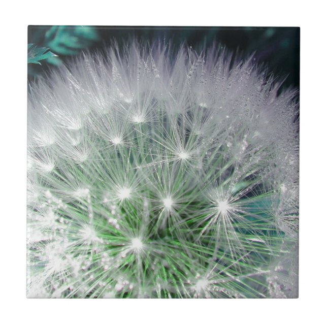 Azulejo De Cerâmica Dandelion verde e branco legal com gotas d'água (Frente)