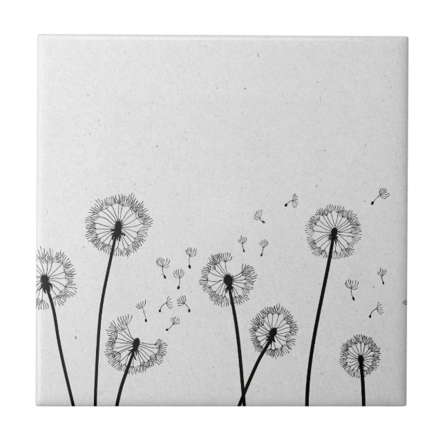 Azulejo De Cerâmica Dandelions Flores Pappus Spores Cinzas (Frente)