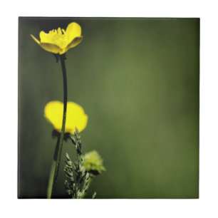 Azulejo de cerâmica das flores amarelas
