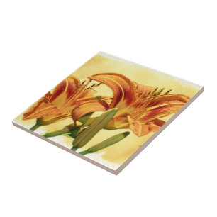 Azulejo De Cerâmica Daylílias - Hemerocallis