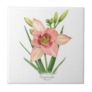 Azulejo De Cerâmica Daylily - Svengali