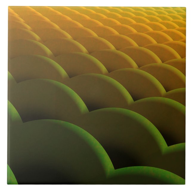 Azulejo de cerâmica de escala frontal (Frente)