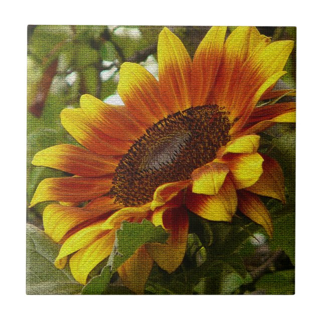 Azulejo de Cerâmica de Girassol Amarelo e Laranja  (Frente)