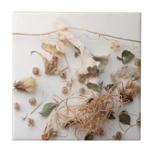 Azulejo de cerâmica de momento fugaz