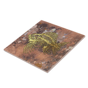 Azulejo de cerâmica de peixes fósseis
