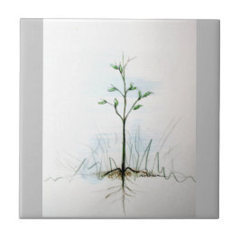 Azulejo De Cerâmica De Uma Pequena Semente. . . .