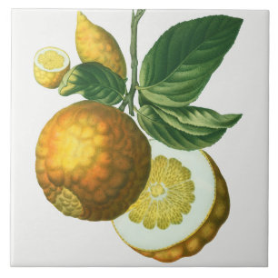 Azulejo de cerâmica de Vintage