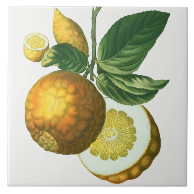 Azulejo de cerâmica de Vintage (Frente)