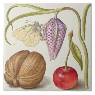 Azulejo de cerâmica de Vintage