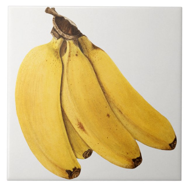 Azulejo de cerâmica de Vintage (Frente)