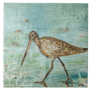 Azulejo De Cerâmica Decoração Costeira de Praia de Snipe Shorebird